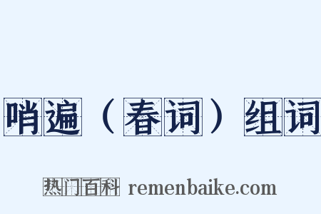 哨遍（春词）组词是什么意思的图片